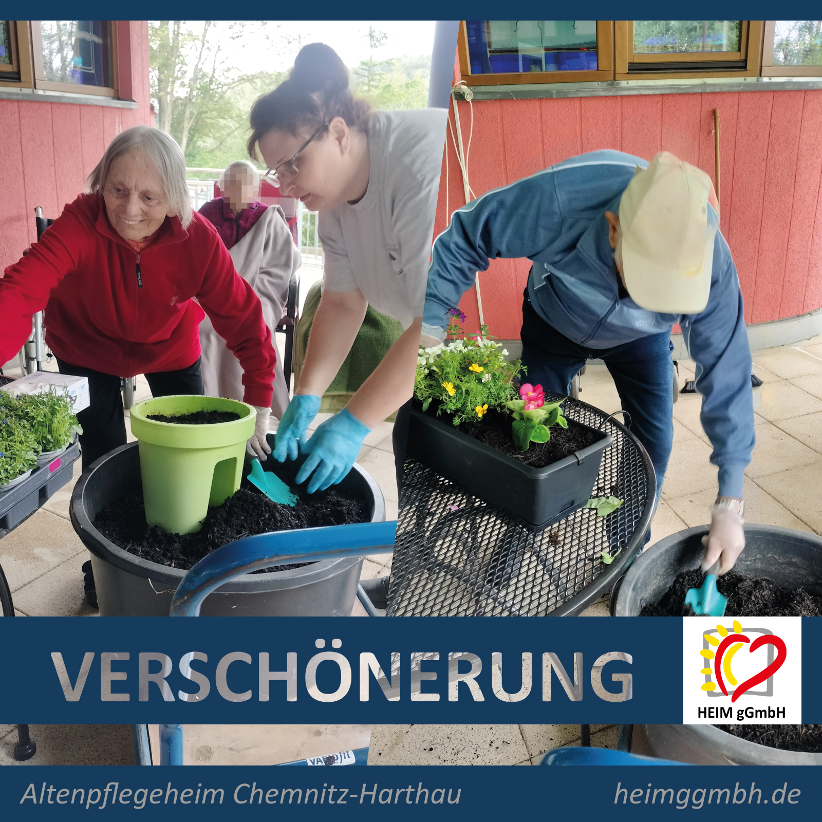 Das ist Teamwork statt EInsamkeit. Blumenpflanzen im Altenpflegeheim Chemnitz-Harthau der HEIM gemeinnützigen GmbH