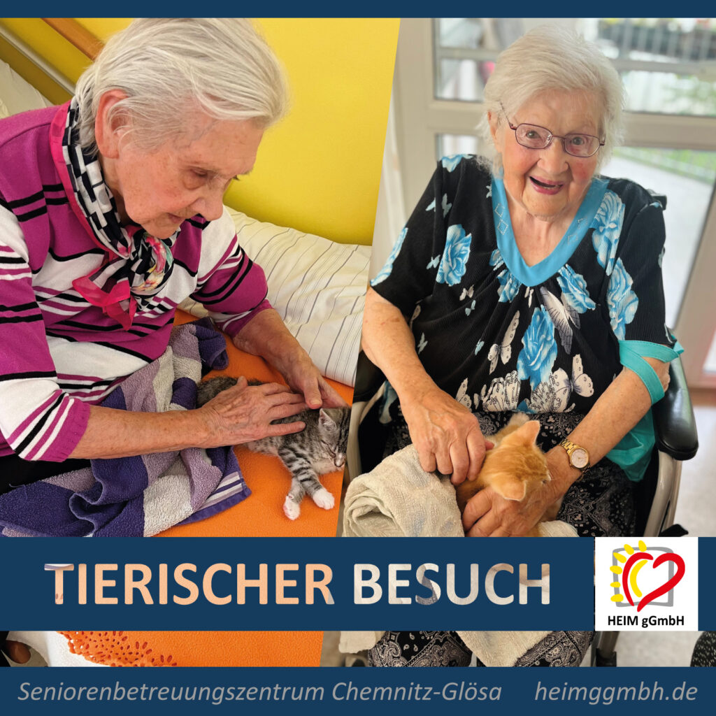 Tierischer Besuch im Seniorenbetreuungszentrum Chemnitz-Glösa